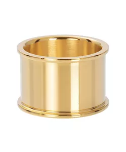 iXXXi Jewelry basis ring 14 mm goud