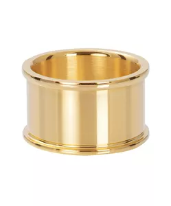 iXXXi Jewelry basis ring 12 mm goud