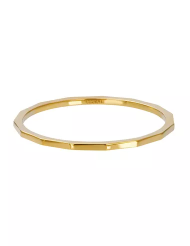 iXXXi ring Angular 1mm goud