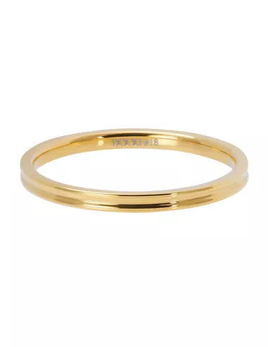 iXXXi ring Small ribbed goud