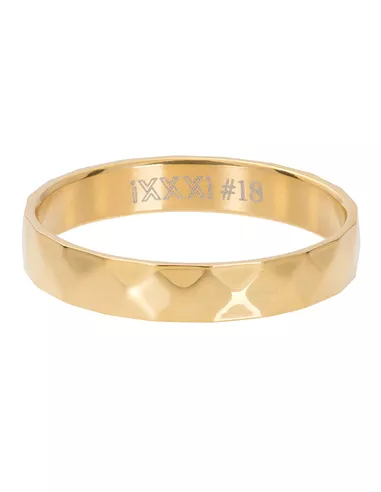iXXXi ring Facet steel goud