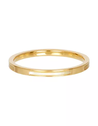 iXXXi ring Bonaire 2mm goud