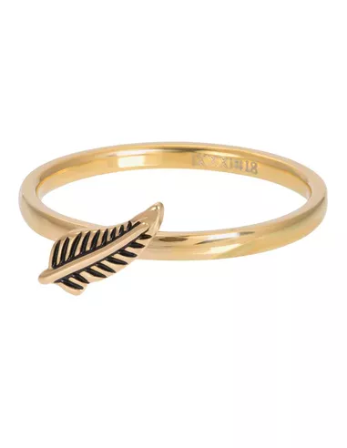 iXXXi ring Symbol Feather goud